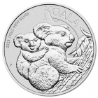 1 kg koala 2023