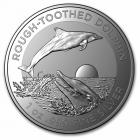 1 oz rough-toothed dolphin 2023