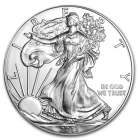 1 oz silver eagle 2013