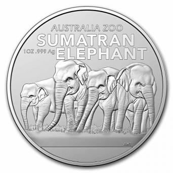 1 oz éléphant de sumatra 2022