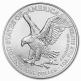 1 oz silver eagle 2022