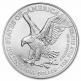 1 oz silver eagle 2024 x100