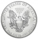 1 oz silver eagle 2012