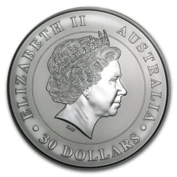 1 kg koala 2011 – Image 2
