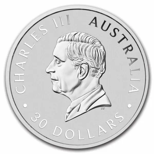 1 kg koala 2024 – Image 2