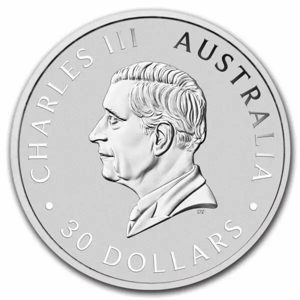 1 kg kookaburra 2024 – Image 2