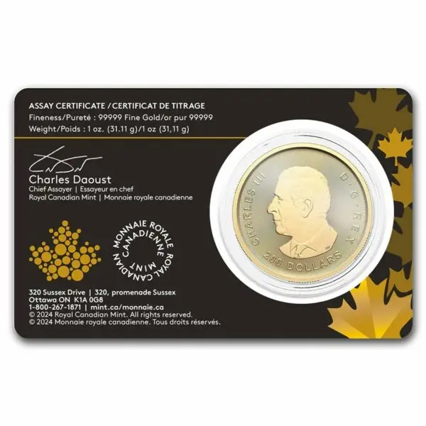 1 oz klondike gold rush from dore to refined gold – Image 4