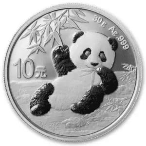 10 yuan panda 2020 30g