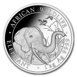 1 kg éléphant 2018