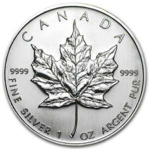 1 oz maple leaf 2007