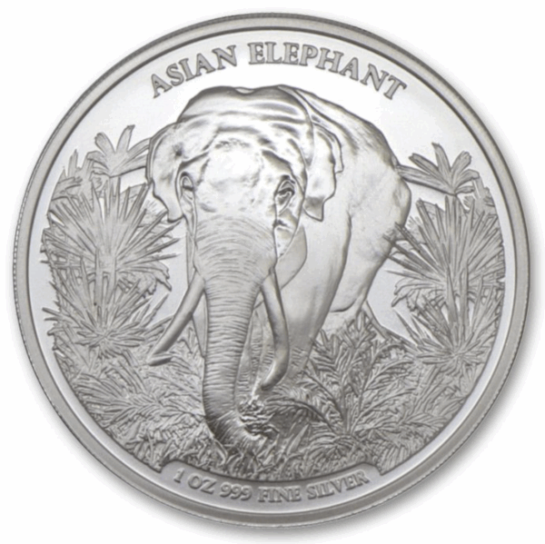 1 oz éléphant big 5 2023