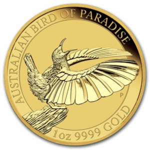 1 oz victoria's riflebird bird of paradise