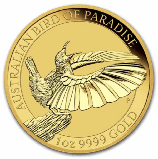 1 oz victoria's riflebird bird of paradise