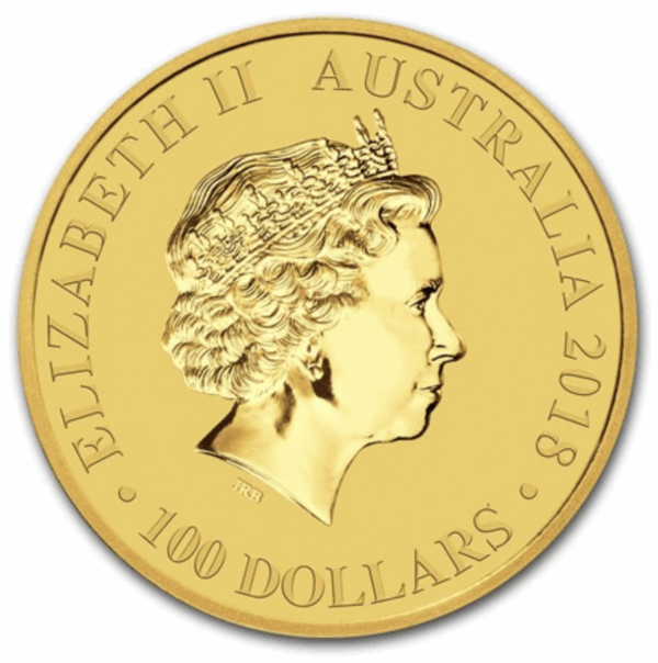 1 oz victoria's riflebird bird of paradise – Image 2