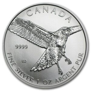 1 oz faucon queue rouge 2015