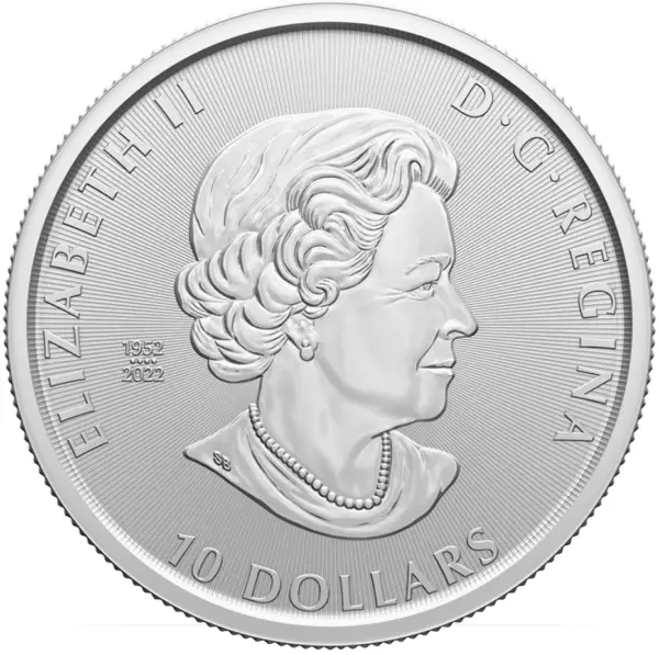 2 oz chat à dents de sabre 2023 – Image 2