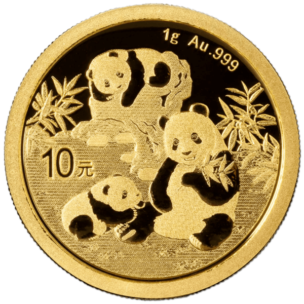 10 yuan panda 2025 1g