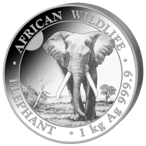 1 kg éléphant 2025