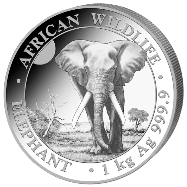 1 kg éléphant 2025