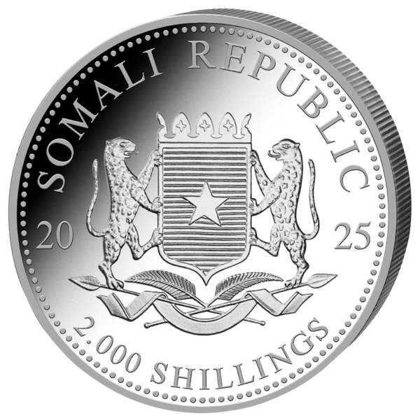 1 kg éléphant 2025 – Image 2