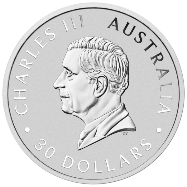 1 kg koala 2025 – Image 2