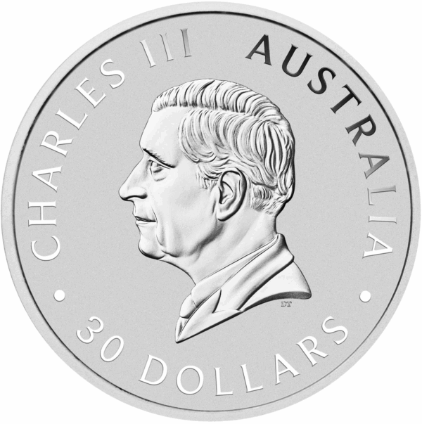 1 kg kookaburra 2025 – Image 2