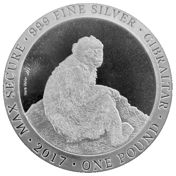 1 oz macaque de barbarie 2017