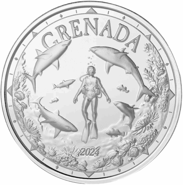 1 oz plongeur requin 2024