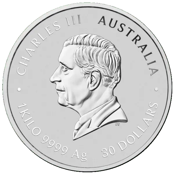 1 kg cheval 2026 lunar III – Image 2